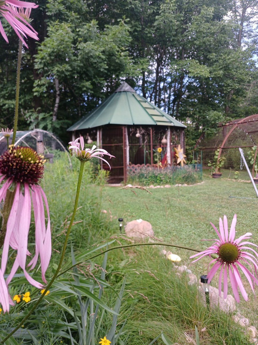 The corn crib across the wildflowers