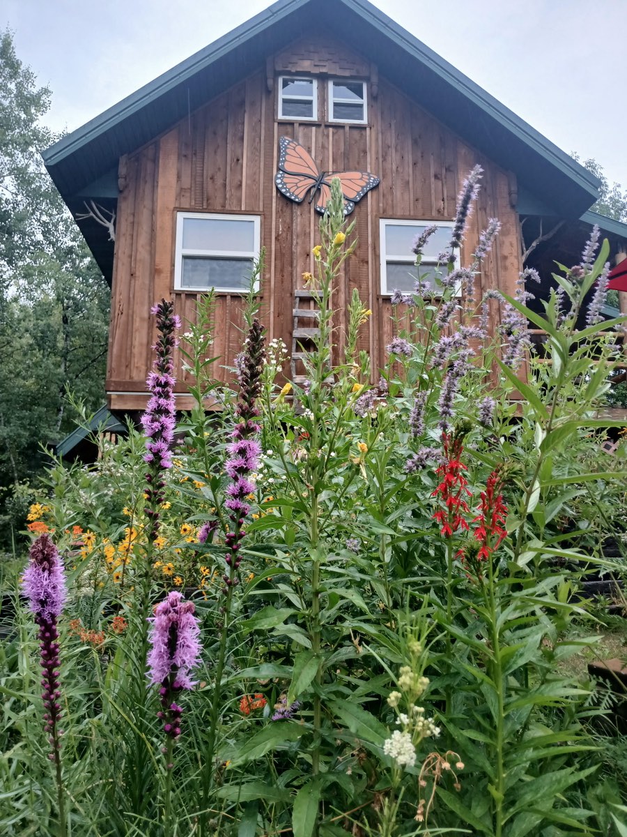 A monarch on the gable of the main cabin, above the prairie garden