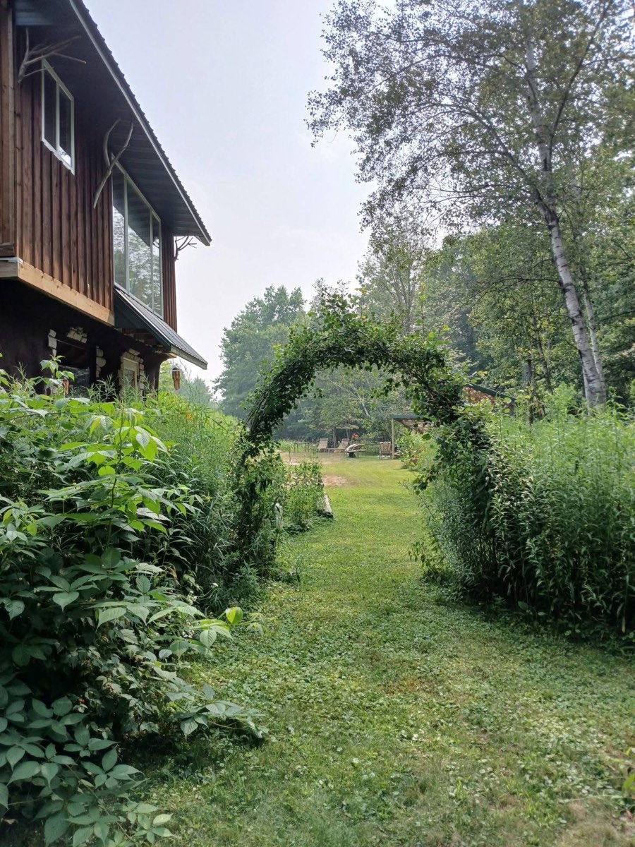 The living willow arch beside the main cabin